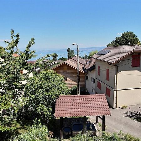 Apt Type 3 En Duplex Sur Evian Les Bains Vue Lac المظهر الخارجي الصورة